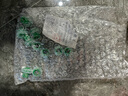 大漠山 4分内丝管道垫片防漏水垫圈 家用硅胶密封圈免生料带垫片神器堵头垫子三角阀水龙头ppr配件 4分 双垫片 10个装 实拍图
