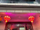 黛莉嘉尔 一对装 灯笼大门挂的新年彩灯装饰春节阳台挂的旋转红灯笼led灯 实拍图