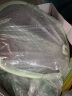 久量（DP） 电蚊拍充电式灭蚊拍电击驱蚊神器灭蝇紫光诱蚊灭蚊灯家用可折叠 标准款【0°真贴墙+升级大网面】 实拍图