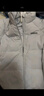 阿迪达斯 （adidas）冬季男子防风保暖上衣立领运动70%鸭绒羽绒服  L码 实拍图