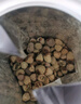 福东海 覆盆子茶150g 复盆子精选大颗树莓干果 男性滋补养生茶泡水 实拍图
