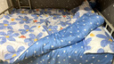 宇极被子被芯+四件套+枕芯被褥套装学生宿舍单双人床上用品全套一整套 实拍图