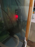 森森（SUNSUN）鱼缸加热棒自动恒温水族箱乌龟缸加温棒小型鱼缸数显加热器防爆 50W数显自动控温配保护套 实拍图