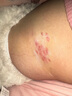 铂呐苓性感睡衣性感吊带睡裙纯欲睡衣女蕾丝夫妻情侣睡衣家居服T裤 鱼骨性感睡衣【带丝袜-L码】 实拍图