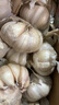 【现挖湿蒜】2024年新鲜红皮鲜蒜紫皮大蒜蒜种糖蒜醋蒜腊八蒜腌制 2024[现挖新蒜]正宗紫皮1g 力推[三斤优选大果]蒜香味美 实拍图