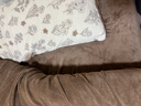 无印良品A类牛奶绒印花四件套件床上用品珊瑚绒套件加厚加绒床单被套200*230cm 实拍图