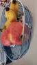 彩致（CAIZHI）水果盘干果零食盘客厅托盘糖果坚果盘轻奢果盘透蓝银 CZ6200 实拍图