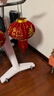 缔卡2026新年大红灯笼一对过年大门口宫灯阳台挂饰过新年户外装饰吊灯 升级-60#家和万事兴长钩-2个装 实拍图