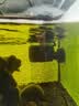 森森（SUNSUN）造浪泵鱼缸水族箱冲浪泵耀蓝造流吹粪便吹鱼便 磁铁款7W 流量调节 适合80-100cm鱼缸 实拍图