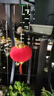 琉弦笙 小灯笼 新年装饰2024年串挂饰春节植绒小灯笼装饰新年布置 8#植绒小红灯笼【16个装】 实拍图