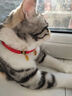 欢宠网猫项圈猫咪狗狗铃铛狗脖圈颈圈项链小狗小型犬猫猫小猫幼猫宠物圈 实拍图