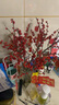 临雅北美冬青红果鲜花切枝鲜切花水培水养绿植室内年宵花卉真花好养活 【旗舰款】北美冬青-30cm5支+挂件 实拍图