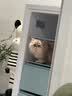 海尔（Haier）148/151/211升减霜家用立式冰柜 冷冻柜小冰柜家用商用大容量小型冰箱冷柜 以旧换新 【山茶花系列】151升爆款推荐 151L 实拍图