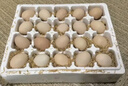 柴小旦农家散养五谷喂养新鲜土鸡蛋单枚 15枚装 实拍图