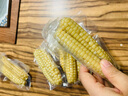 傣小瓜 拇指小玉米云南即食香糯手指玉米棒甜玉米杂粮轻食代餐早餐食品 拇指玉米500g*1袋【1斤】 实拍图