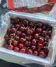 采缇智利进口车厘子5kg5斤可选生鲜樱桃次日达樱桃新鲜水果当季礼盒 1斤(净重) 泡沫箱+冰袋 4J 32mm(含)-34mm(不含） 实拍图