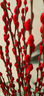 开时果 银柳鲜枝干花年宵花卉 红色真花福桶银柳水培植物室内装饰鲜花 福利推荐【60cm】银柳10枝 实拍图