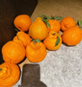 生活＆好管家 四川春见耙耙柑爆浆大果新鲜水果礼盒应季橘子现摘柑橘子桔子 净重4.5斤【超划算】 果径90mm+【果王】 实拍图