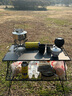CAMPINGMOON柯曼折叠桌T-235户外露营置物架网桌科曼 【T-235-2T+T-2308】2桌1板1包 实拍图