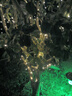 倍绿 太阳能灯串LED户外庭院灯圣诞节装饰灯防水星星灯七彩花园景观灯 32米300灯 暖白  中板-高亮 实拍图