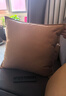 芝华士皮沙发抱枕科技布轻奢客厅靠枕套现代靠垫腰枕大防水北欧 姜黄色 45cm*45cm 枕套 (+三维棉内芯) 实拍图