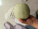 玉菇甜瓜蜜瓜新鲜水果批发冰激凌甜瓜软糯甜瓜 3斤 实拍图