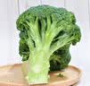 长柄西兰花约450g 实拍图