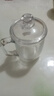 青苹果 玻璃杯水杯套装家用客厅待客泡茶杯家庭喝水杯子带把杯具带盖 品茗杯350ml/6只装 实拍图