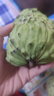采缇（CAITI）现货大目凤梨释迦果5斤 新鲜番荔枝佛头果水果孕妇整箱 精选三斤中果（6-8个） 实拍图