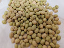 荣事达破壁机 家用全自动免煮免滤免泡豆浆机 小型多功能辅食机全自动大容量料理机全自动榨汁机24年新款 白色1.6L（12叶刀 约1-6人使用） 实拍图