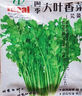四季蔬菜种子大全菠菜香菜生菜油麦菜苋菜鸡毛菜芹菜矮脚黄蔬菜籽 四季鸡毛菜种子1包约2000粒 实拍图