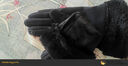 【京东物流】保暖手套女冬季韩版学生加绒加厚触屏防寒秋骑车开车 内里加绒-指尖触屏【米杏色】 均码 1双 适合女士【掌围17-21cm】 实拍图