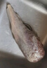 伊民康洋宁夏滩羊肉 生鲜整半只羊 原切羊排羊腿羊肉卷羊蝎子全羊礼盒清真 滩羊后腿 净重4斤 实拍图