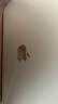 Apple/苹果AI笔记本/2024MacBookAir13.6英寸M3(8+8核)8G256G银色电脑MRXQ3CH/A 实拍图