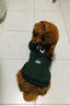 SLPC狗狗衣服小型犬泰迪衣服两脚卫衣猫咪服装比熊博美法斗宠物衣服 墨绿色 XL（8.5-12斤左右） 实拍图