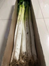 京地达正宗山东章丘大葱10斤礼盒  葱白长约55cm送礼用蔬菜源头直发包邮 实拍图