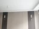 苏印新中式壁灯床头灯全铜墙壁灯客厅竹子梅花中式禅意卧室墙壁灯916  梅花款大号【E27螺口灯泡*个】 实拍图