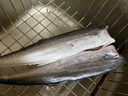 北海湾 鲅鱼 海捕新鲜活鲐大鲅鱼 马鲛鱼整条冷冻马友鱼海鲜马交鱼 海捕大鲅鱼 净重5斤【6-8两/条】 实拍图