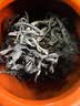 武夷山大红袍幔亭峰茶业乌龙茶武夷岩茶大红袍一级250g中火陶罐礼盒装茶叶送礼 实拍图