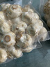 新鲜口蘑白蘑菇双孢菇蘑菇原生态食用菌菇火锅烧烤煲汤蔬菜 新鲜口蘑 500g 实拍图