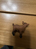 思乐（Schleich S）新年礼物仿真农场家禽动物模型羊驼猪兔羊驴猪火鸡男女孩儿童玩具 小羊羔13829 实拍图