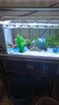长锐侧滤鱼缸桌面办公室免换水生态水草超白水族箱 K600造景版【长63 宽27 高35】 实拍图