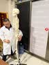 蓝蝶170CM医学全身人体骨骼模型骨盆瑜伽关节可拆卸解剖结构骨架标本 170CM人体骨骼-无神经款 实拍图