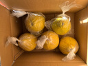 趣觅鲜正宗容县沙田柚产地直发广西特产纯甜无酸老树白肉柚子新鲜水果 40斤袋装大果单果1.7-2.5斤 实拍图