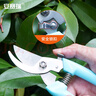 安赛瑞 修枝剪刀果树剪园艺剪 盆栽剪花卉工具园林绿植剪刀花艺 5J00324 实拍图