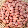 戚小贝花生米生新大粒山东新货散装农家自产新鲜 大一级2024生花生米 新花生米5斤 实拍图