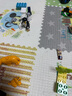 乐高（LEGO）积木得宝10442 野生动物企鹅与狮子大颗粒积木桌儿童玩具生日礼物 实拍图