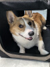 DO DO PET宠物车载笼猫笼狗笼可折叠大中小型犬狗狗宠物笼猫狗坐车隔离笼子 卡其色-四面网布开口款-快速送达 M码（66×45×45cm）可放后排位 实拍图