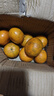 尔蝶广西沃柑新鲜橘子当季时令水果桔子整箱砂糖蜜橘柑橘应季水果礼盒 精选3斤装 净重2.8斤 大果60-70mm 实拍图