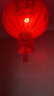迪普尔大红灯笼灯植绒阳台灯笼春节新年装饰福字灯笼户外防水挂电灯笼 【买1贈1】植绒.家和万事兴款 大号#撑开直径约60CM 实拍图